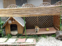 日除けと犬小屋