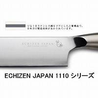 1110 V[Y ECHIZEN JAPAN 